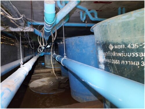 Project : Tuana Casa Del Sol, Kata, Phuket Description : Booster & Transfer & Swimming pools pumps replacement work, WWTP system renovation workValue : 4.95 MB (Vat Exd.)